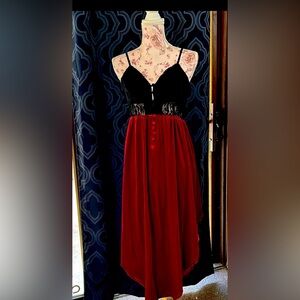 NWT Lace and velvet dress